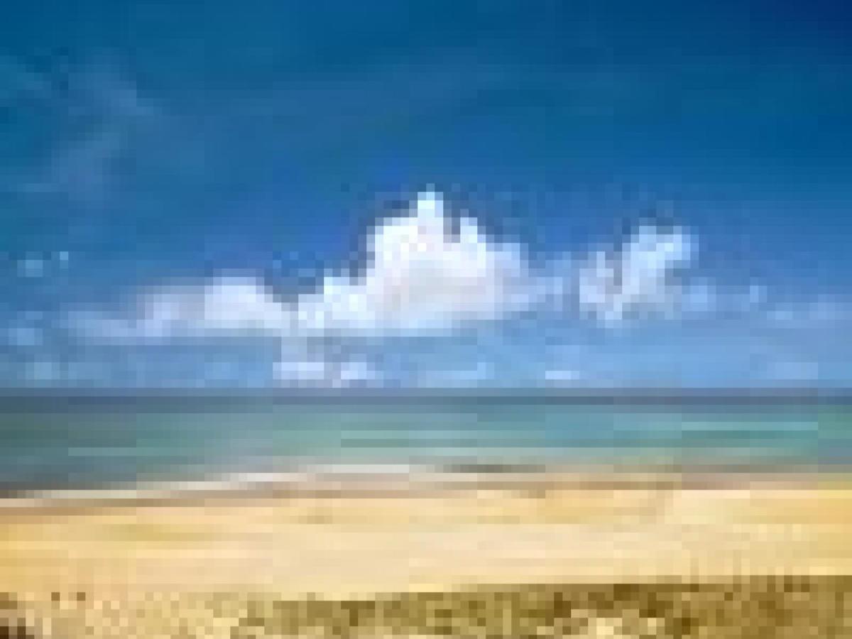 Appartement Cosy A 300M De L'Ocean Au Coeur De La Station - Balcon Et Parking Securise - Fr-1-239-144 Seignosse Kültér fotó